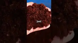 Revive Your Plants with This Soil Hack!