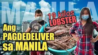 Nag deliver si kamuning ng lobster sa manila 19kilo@kamuningofficial3860