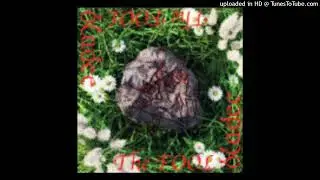 the fool intro cheap copy instumental