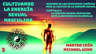 88 - 📚[CULTIVANDO LA ENERG&Iacute;A SEXUAL MASCULINA - MANTAK CH&Iacute;A-MICHAEL WINN] - PARTE 3 - AUDIOLIBRO 🔥⏺️