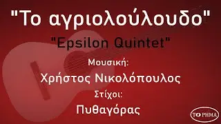 Το αγριολούλουδο - Epsilon Quintet | Official Music Video | HQ