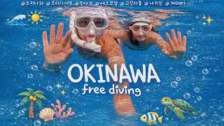 🐠오키나와 프리다이빙의 모든 것 | 🐚다이빙 브이로그 | 🪸오키나와 플레어 다이브