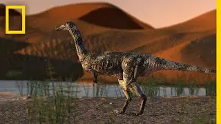 Dinosaur Foot is Best-Preserved Theropod Fossil in Brazil | National Geographic