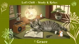 Mindful Moments // Calm Lofi for Study & Rest