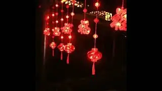 LED Festival Decorative Lights | Holiday Lighting Display✨