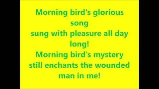 Morning Bird by steve sedberry