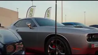 AMUAE @ Gulf Car Festival 2018