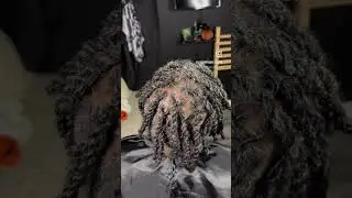 Twist Locs #locs #hairstylist #wicks #batonrouge #viralvideo #shorts #luxuryhairhaven