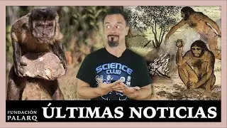 Herramientas de piedra de los primeros humanos y simios son casi idénticas | Noticias Arqueología