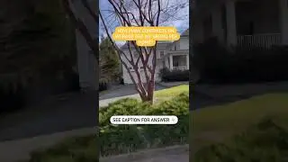 3 offers per home 🏡 that is getting offers