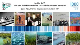 Inside IPCC: Wie der Weltklimarat den Zustand der Ozeane bewertet