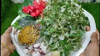 পেপারোমিয়া/দিপ্ত লুচি পাতা দিয়ে চুলের জন্য খুবই উপকারি একটি পেক চুল দ্রুত লম্বা করতে সাহাস্য করে। 