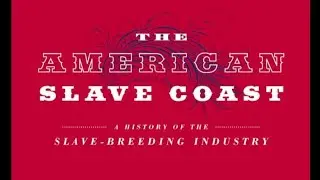 The American Slave Coast Part 26