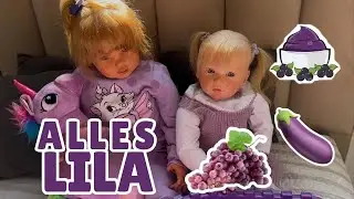 Ein ganzer Tag mit meinen Reborn-Babys: Wir essen nur lila Sachen!