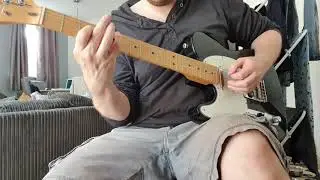 Red hot chili peppers - funky monks guitar cover