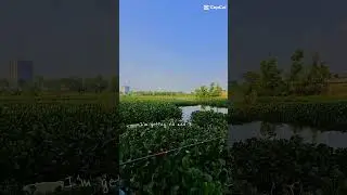 Cafe Hầm Đất - L&agrave;ng ĐH Hồ Ch&iacute; Minh #relax #fishing