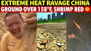 Extreme Heat, Drought Ravage China: Central Region Hits 158&deg;F, Fields Become Desert, Shrimp Turn Red