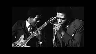 Buddy Guy & Junior Wells - July 8, 1968 - Newport Folk Festival - Newport, Rhode Island