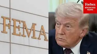 «Я никогда не был большим поклонником FEMA»: Трамп защищает свое решение не использовать полномоч...