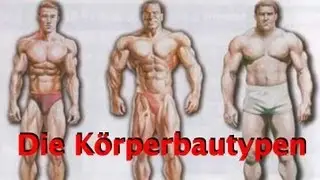 Bodybuilding Theorie - Körperbautypen nach SHELDON
