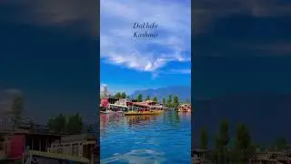 Exploring Srinagar | Shikara ride in Dal lake | Kashmir Tourism