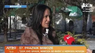 Ko peva na otvaranju Praznika mimoze? Spektakl na Jadranu kakav se ne propušta