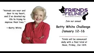 Betty White Challenge 2026   Friends of Felines Rescue Center (FFRC)
