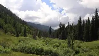 Video of Spring Creek Colorado- Dispersed Camping, CO from Katherine M.