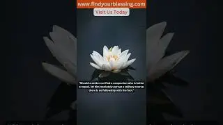 Daily Buddhist Quote #70 | Find Your Blessing #buddhist #motivation #quotes by #findyourblessing