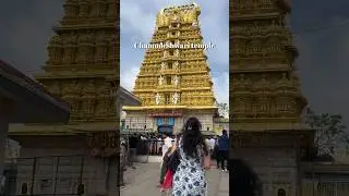 Must Visit: Mysore in 1 day | Mysuru palace | Chamundeshwari Devi | #travel #mysore #shalinimishra
