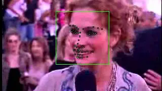3D Face Tracking: Demo 5