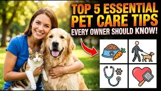 Top 5 Essential Pet Care Tips Every Owner Should Know!