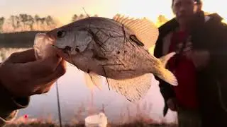 Pesca de crappie con flotador y carnada viva  / pesca en Carolina del Norte
