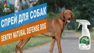 Спрей для собак Sentry Natural Defense Dog  | Обзор спрея для собак Sentry Natural Defense Dog