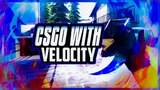Trying 500hz today..Solo-Q Gaming with randoms ft. vel0city !twitch