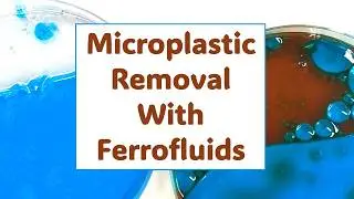 Microplastic Removal with Ferrofluids | Science Project