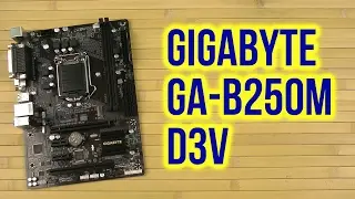 Распаковка Gigabyte GA-B250M-D3V