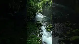 Natural sounds reduce anxiety | Nature Sounds Calm Your Brain #naturelovers #nature #naturesounds