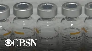 Turkey's COVID fight relying on Chinese vaccine