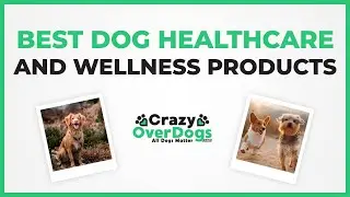 Best Dog Healthcare and Wellness Products in 2021