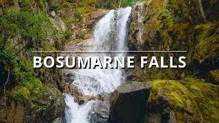 Hiking to Bosumarne Falls, Chilliwack, BC