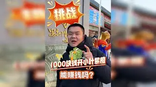 1000元预算开一条上等琴料紫檀原木，能赚多少钱？
