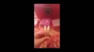 مشترياتي من الذهب