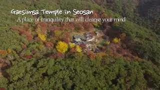 [TV ZONE] Gaesimsa Temple in Seosan, Where You Can Open Your Mind