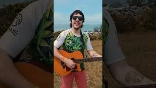 HIGH TIMES 🪴🔥#musica #reggae #hightime