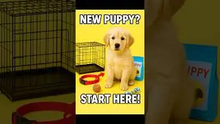 New Puppy Checklist: Must-Have Essentials for First-Time Owners