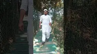 Walla Habibi,Bade Miyan #shortvideo #wallahhabibi #bademiyan #trendingshorts