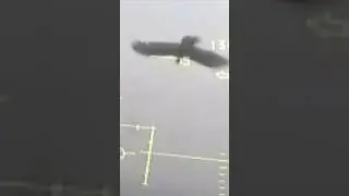 FIGHTER JET BIRD STRIKE!