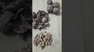 Walnuts - The Immunity Booster Food  #shorts