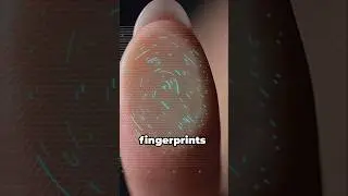 Why Do Humans Have Fingerprints? The Untold Evolutionary Story